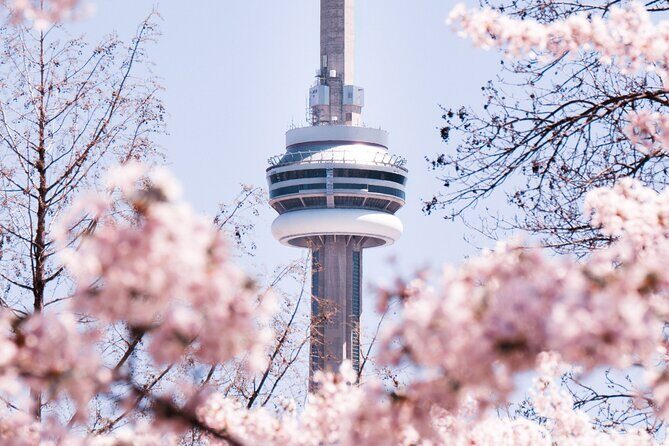 Best of Toronto City Tour with Boat Cruise & CN Tower - Value and Practicality