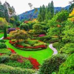 Best of Victoria Group Tour w/ Malahat Skywalk & Butchart Gardens - Insights from Guest Reviews
