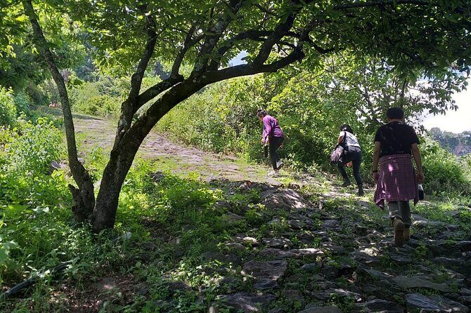 Between Tunnels and Bats - Final Thoughts