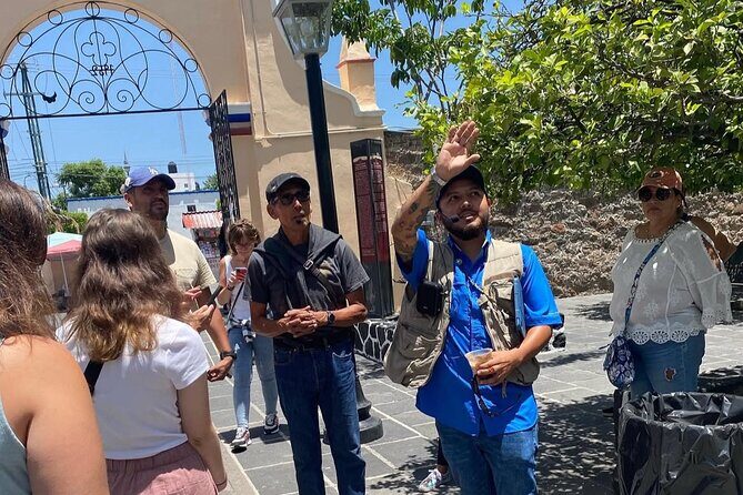 Bici-Taxi & Walking Tour: Ride Through the History of Mexico City - The Transport: Bici-Taxi as a Fun, Local Transport Choice