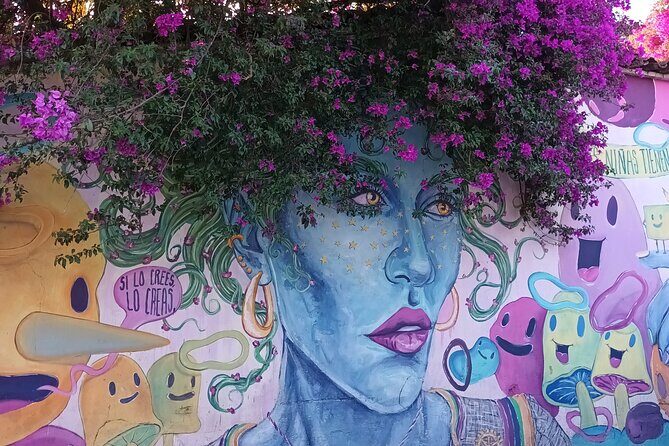 Bicycle Tour through Oaxaca learning about its Urban Art and History - Frequently Asked Questions