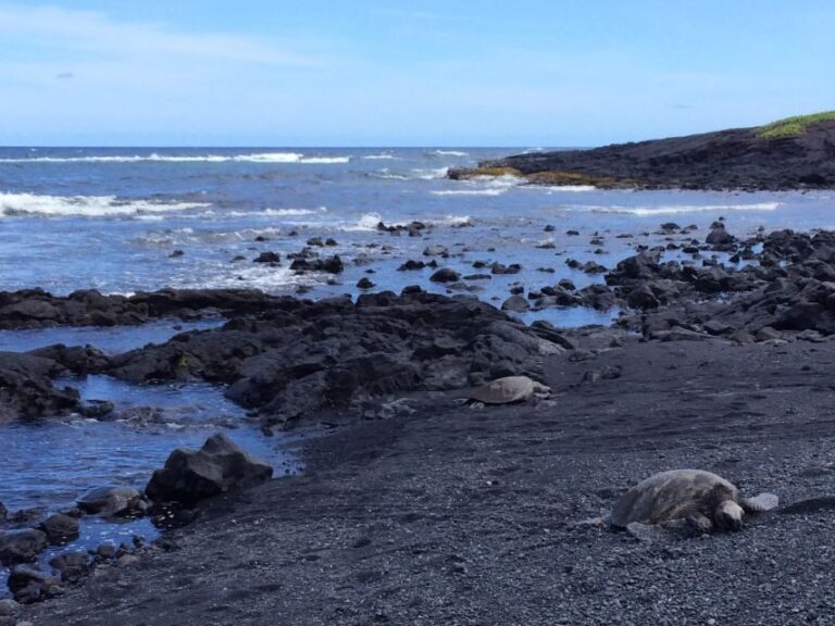 Big Island: Full Day Circle Island Tour From Kona - Practical Details and Transport