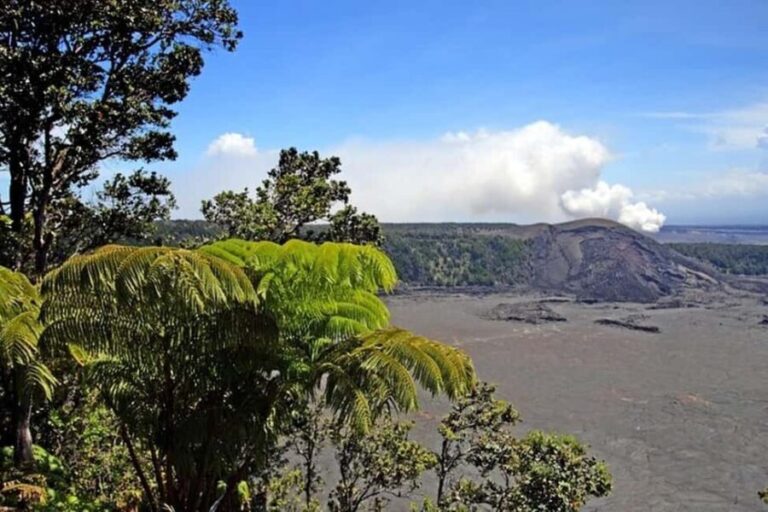 Big Island Hawaii Volcano Day tour from Oahu and Hotel PU - Who Will Enjoy This Tour?