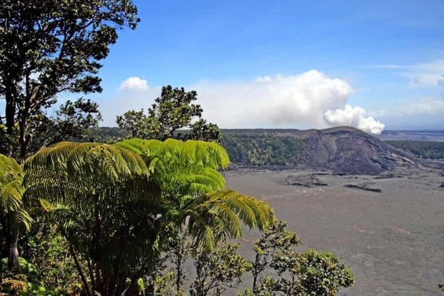 Big Island Hawaii Volcano Day tour from Oahu and Hotel PU - Who Will Enjoy This Tour?