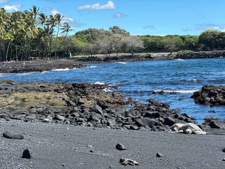 Big Island: Hilo to Kona Day Tour with Tastings - FAQs