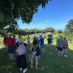 Big Island of Hawaii South Kona Historical Day Tour - Authenticity & Cultural Connection