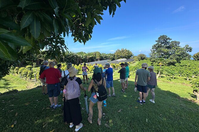 Big Island of Hawaii South Kona Historical Day Tour - Authenticity & Cultural Connection
