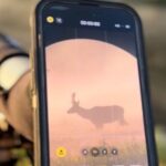 Big Sky Winter Wildlife Safari Lamar Valley Breakfast and Lunch - The Itinerary Breakdown