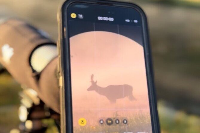 Big Sky Winter Wildlife Safari Lamar Valley Breakfast and Lunch - The Itinerary Breakdown