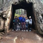 Big Trees Hike & Riverside Cookout Adventure - Who Should Consider This Tour?