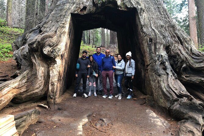 Big Trees Hike & Riverside Cookout Adventure - Who Should Consider This Tour?