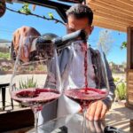 "Bike 2 wine", Exploring vineyards on a bike - What Travelers Say