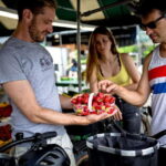 Bike/E-bike tour Plateau,MileEnd, Jean-Talon Market by Fitz - Detailed Breakdown of the Tour