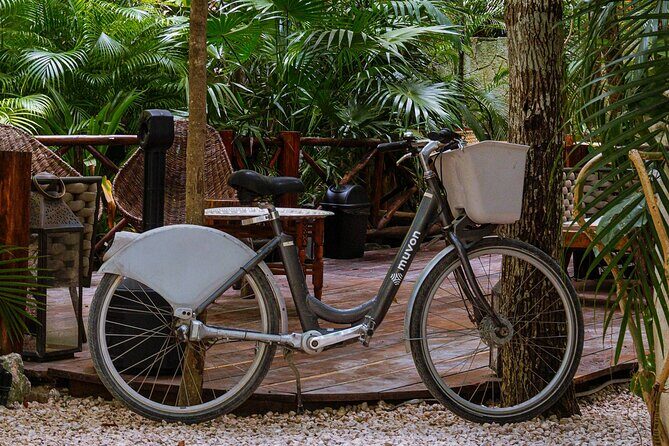 Bike Rental in Tulum downtown - What to Expect During Your Rental