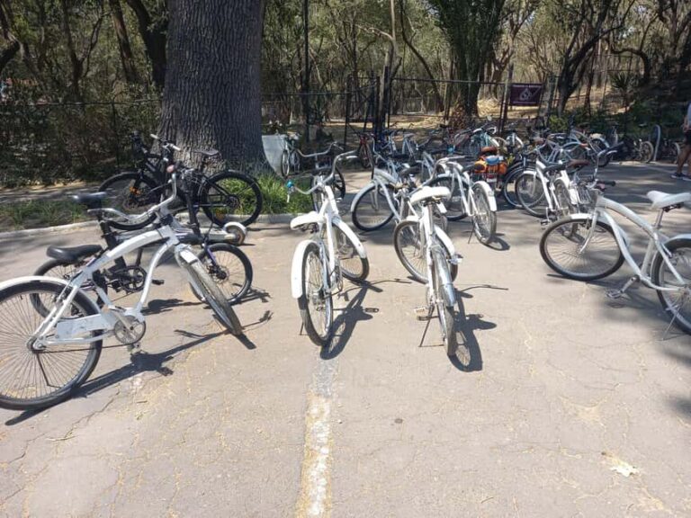 BIKE RIDE THROUGH ICONIC SITES OF THE CDMX / BREAKFAST & BEER - Final Thoughts: Is This Tour Worth It?