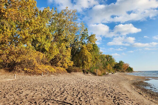 Bike Tour Toronto Harbourfront and Toronto Islands (Economical) - Authentic Experience and Practical Tips
