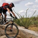 Biking in the Tortolita Mountains - Who Will Love This Tour?