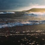 Bioluminescence from Puerto Escondido - Analyzing the Value