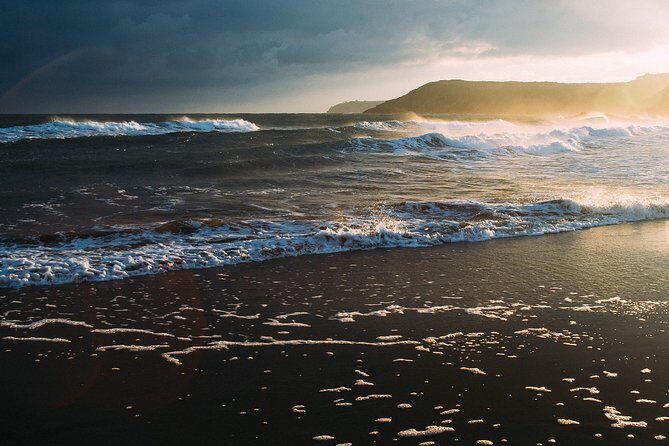 Bioluminescence from Puerto Escondido - Analyzing the Value