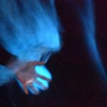 Bioluminescence in Manialtepec Night Tour from Huatulco - Frequently Asked Questions