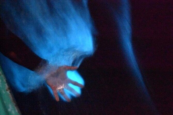 Bioluminescence in Manialtepec Night Tour from Huatulco - Frequently Asked Questions