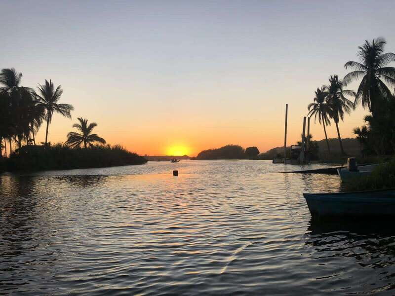 BIOLUMINESCENCE IN PUERTO ESCONDIDO - What to Expect from the Tour