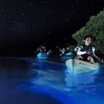 Bioluminescence Kayak Holbox  Night Eco Tour & Stargazing - Who Should Consider This Tour?