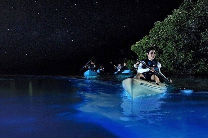 Bioluminescence Kayak Holbox  Night Eco Tour & Stargazing - Who Should Consider This Tour?
