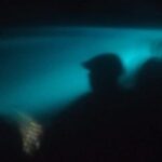 Bioluminescence swim with stars - What’s Included and Not