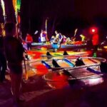 Bioluminescent Comb Jelly Clear Kayaking Tour - What We Love About This Tour
