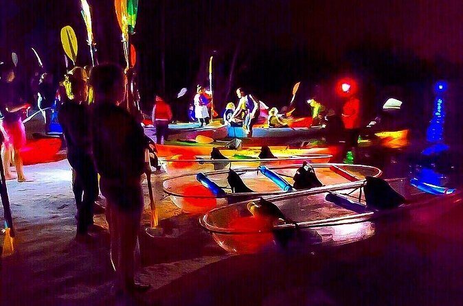 Bioluminescent Comb Jelly Clear Kayaking Tour - What We Love About This Tour