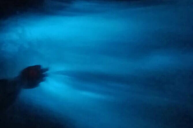 Bioluminiscense Lagoon Tour - Who Should Consider This Tour?