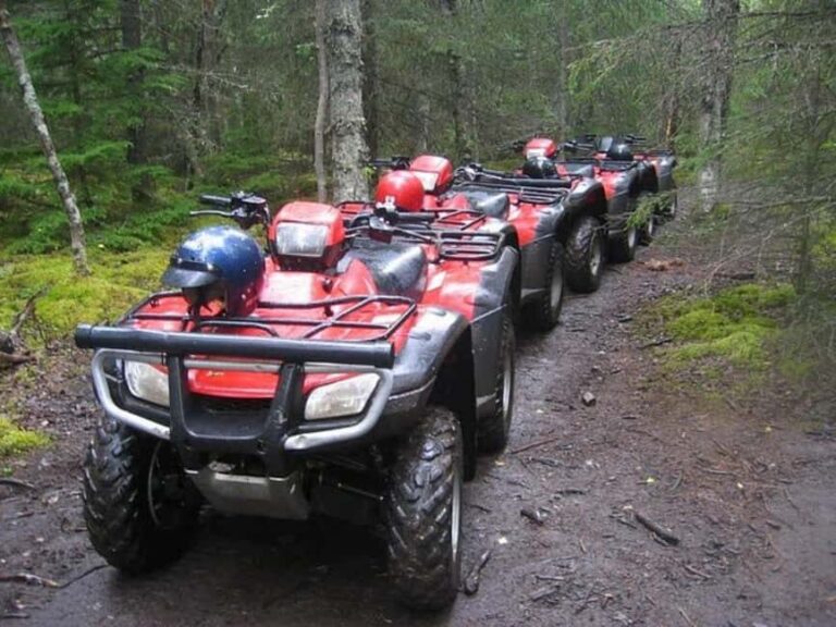 Bird Creek: Chugach State Park ATV Nature Tour & Hike - A Deep Dive into What Makes This Tour Special