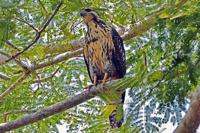 Bird watching in La Mancha - What to Expect During the Tour