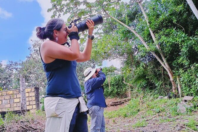 Bird Watching Tour in Cozumel - The Experience: What Makes It Stand Out?