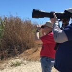 Birding Tour in La Paz Mexico - Who Should Consider This Tour?