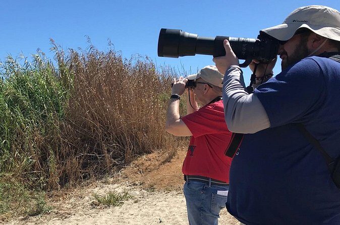 Birding Tour in La Paz Mexico - Who Should Consider This Tour?
