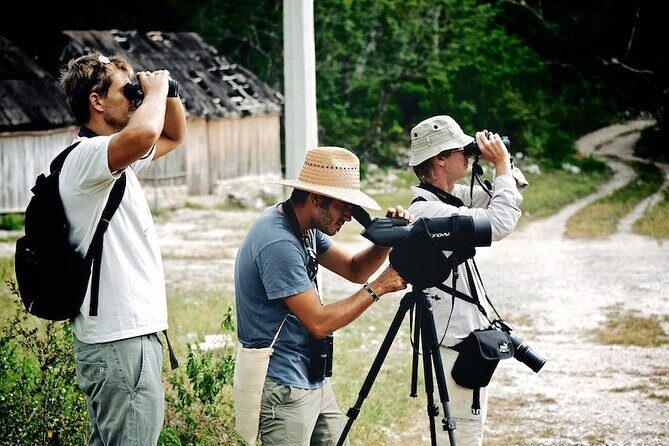 Birdwatching in Sian Ka´an Muyil from Tulum - Shared Group Tour - What Reviewers Loved Most