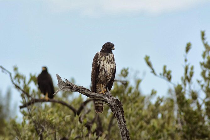 Birdwatching Sian Ka'an Biosphere Reserve - The Sum Up