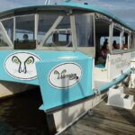 Black Water Adventure Cruise - Who Will Enjoy This Tour?