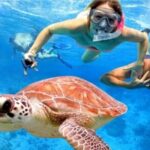 Blue Lagoon Snorkling activities - What The Tour Includes & Doesn’t