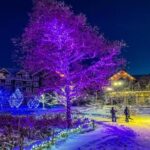 Blue Mountain Daily Winter Shuttle from Toronto (GTA) - Final Thoughts