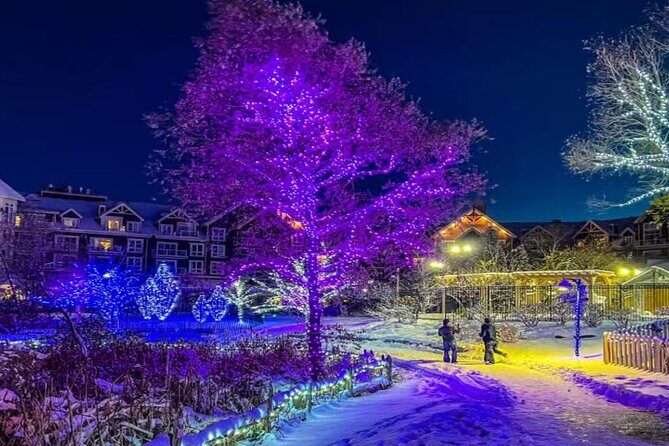 Blue Mountain Daily Winter Shuttle from Toronto (GTA) - Final Thoughts