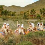 Boat Ride to the Arch and Beach Camel Ride in Cabo San Lucas Shared Tour - Who Will Love This Tour?