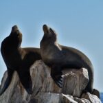 Boat ride to the Arch and Snorkel - Value and Cost Considerations