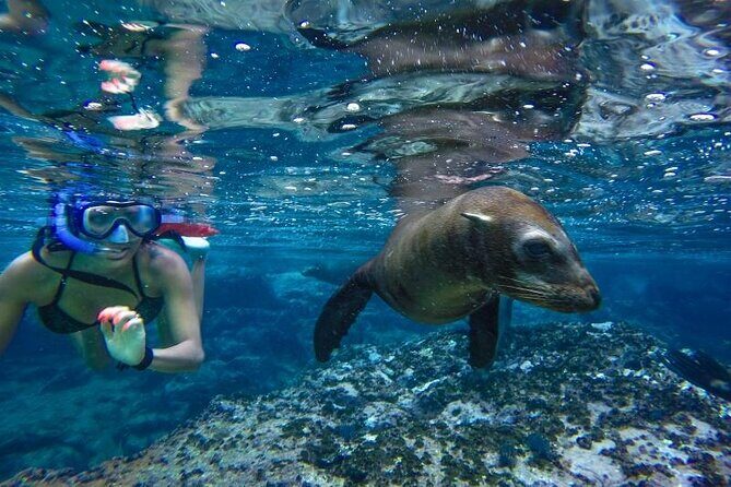 Boat Tour and Snorkel at Pelican Rock - FAQ