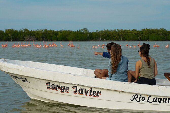 Boat tour in Río Lagartos Natural Reserve, with Food - A Deep Dive into the Río Lagartos Boat Tour