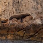 Boat Tour Snorkeling Tour with Guide, Drinks and Fruit - Authentic Experiences and Traveler Feedback