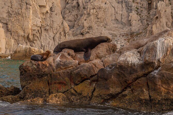 Boat Tour Snorkeling Tour with Guide, Drinks and Fruit - Authentic Experiences and Traveler Feedback