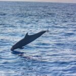 Boat Trip to See Marine Life in Puerto Escondido - Practical Tips for a Smooth Trip
